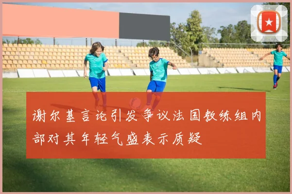谢尔基言论引发争议法国教练组内部对其年轻气盛表示质疑